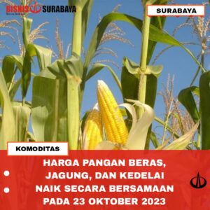 komoditas beras, jagung, kedelai naik secara bersamaan