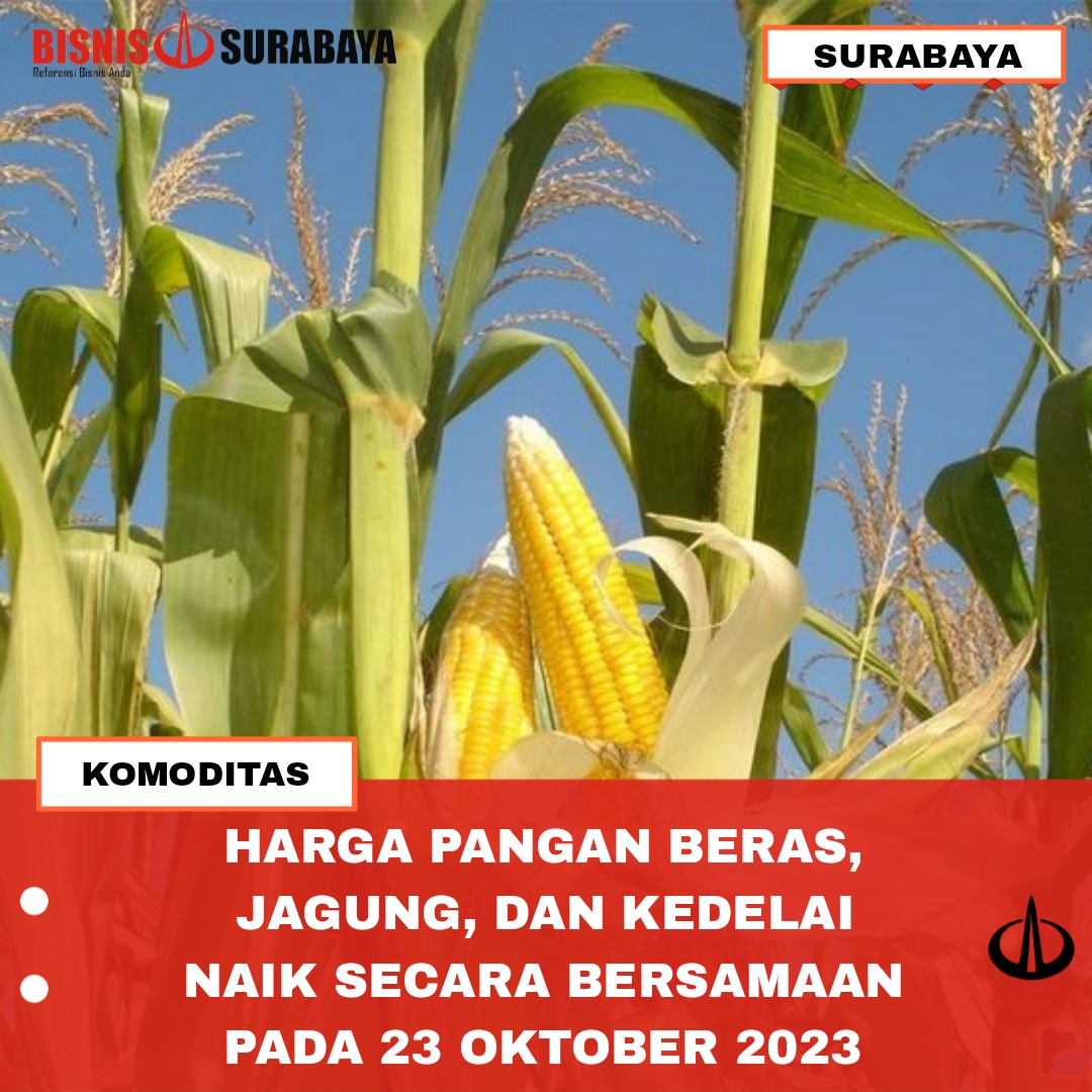 komoditas beras, jagung, kedelai naik secara bersamaan