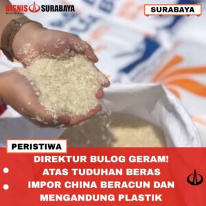 Direktur Bulog Geram atas tuduhan beras impor dari china