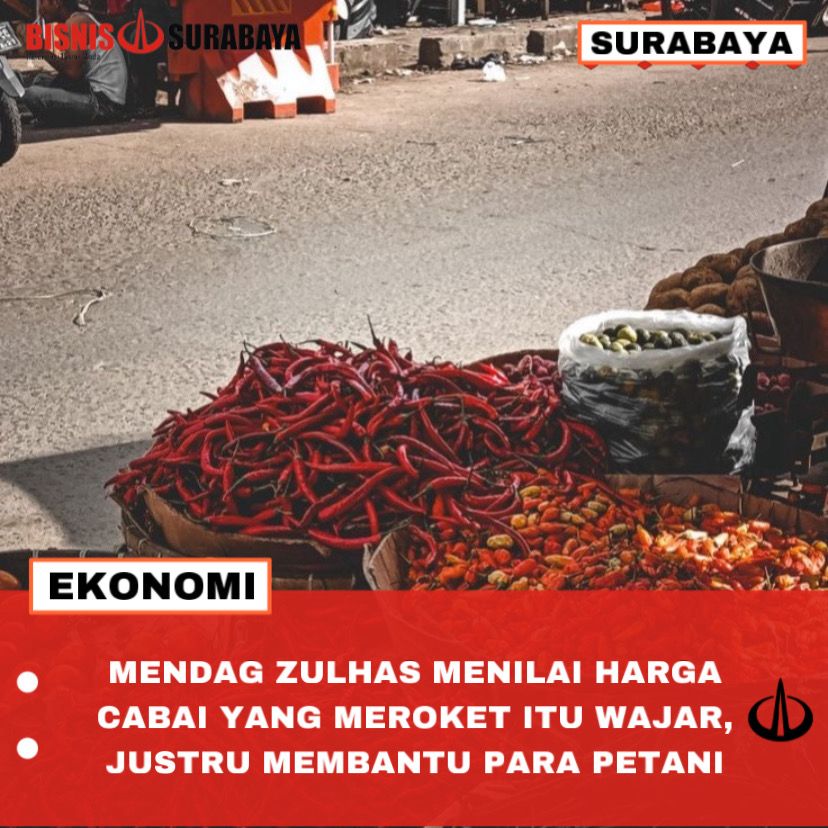 Menurut Zulhas Selaku Mendag Harga Cabai Yang Meroket Justru Membantu Para Petani