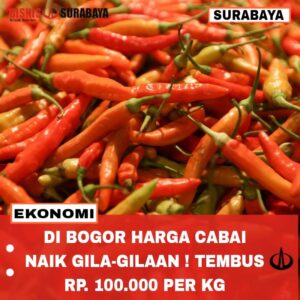 Harga Cabai Naik Gila-gilaan Tembus Rp.100.000 Per Kg