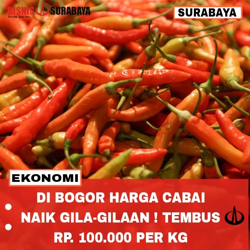 Harga Cabai Naik Gila-gilaan Tembus Rp.100.000 Per Kg