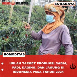 target produksi cabai, padi, daging, dan jagung di indonesia tahun 2024