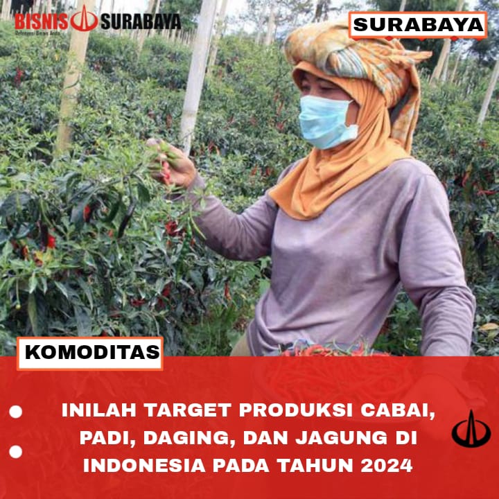 target produksi cabai, padi, daging, dan jagung di indonesia tahun 2024