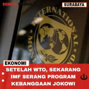 Setelah WTO, Sekarang IMF Serang Program Kebanggan Jokowi