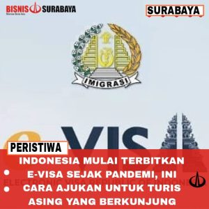 Indonesia Mulai Terbitkan E-Visa Sejak Pandemi, Ini Cara Ajukan Untuk Turis Asing Yang Berkunjung
