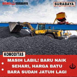 Masih Labil! Baru Naik Sehari, Harga Batu Bara Sudah Jatuh Lagi