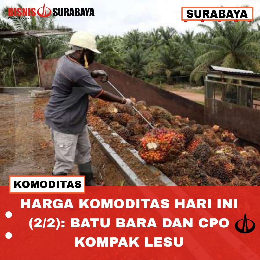 Harga Komoditas Hari Ini (2/2): Batu Bara dan CPO Kompak Lesu