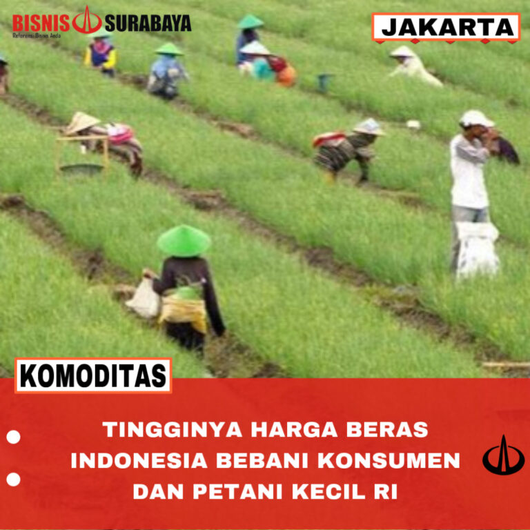 Tingginya Harga Beras Indonesia Bebani Konsumen dan Petani Kecil RI