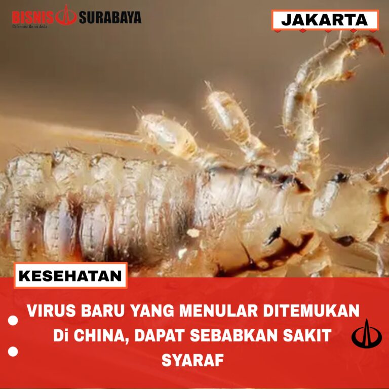 Virus Baru Yang Menular Ditemukan Di China, Dapat Sebabkan Sakit Syaraf