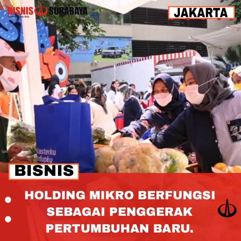 Holding Mikro Berfungsi Sebagai Penggerak Pertumbuhan Baru