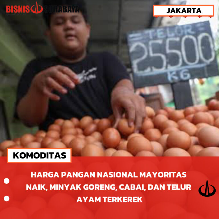 HARGA PANGAN NASIONAL MAYORITAS NAIK, MINYAK GORENG, CABAI, DAN TELUR AYAM TERKEREK