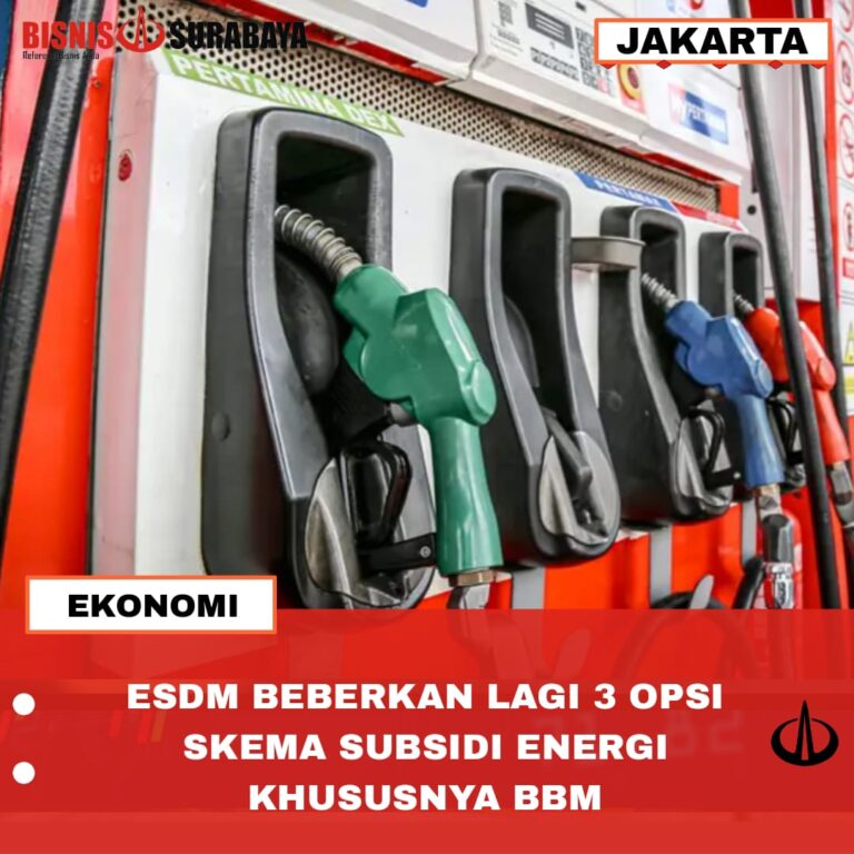 ESDM BEBERKAN LAGI 3 OPSI SKEMA SUBSIDI ENERGI KHUSUSNYA BBM