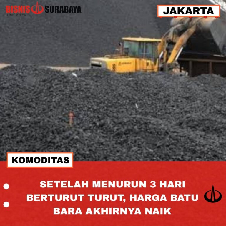 SETELAH MENURUN 3 HARI BERTURUT TURUT, HARGA BATU BARA AKHIRNYA NAIK