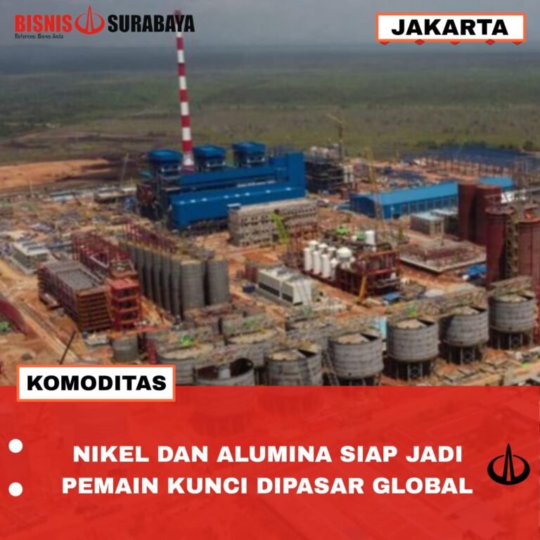 NIKEL DAN ALUMINA SIAP JADI PEMAIN KUNCI DIPASAR GLOBAL