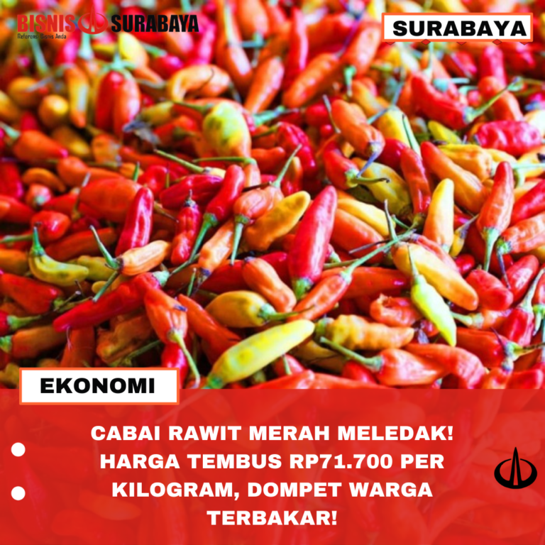 CABAI RAWIT MERAH  MELEDAK! HARGA TEMBUS RP 71.700 PER KILOGRAM, DOMPET WARGA TERBAKAR