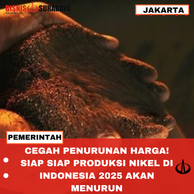 CEGAH PENURUNAN HARGA! SIAP SIAP PRODUKSI NIKEL DI INDONESIA 2025 AKAN MENURUN