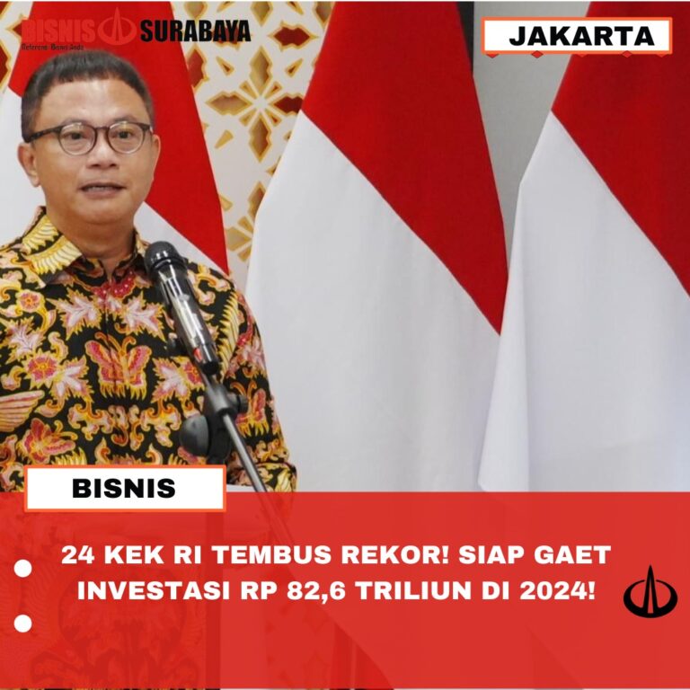 24 KEK RI TEMBUS REKOR! SIAP GAET INVESTASI RP 82,6 TRILIUN DI 2024!