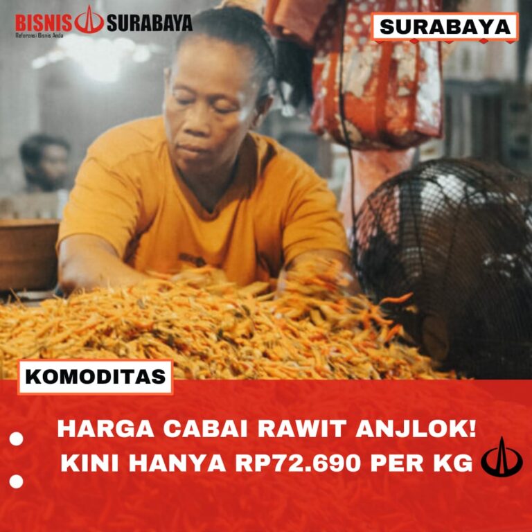 HARGA CABAI RAWIT ANJLOK! KINI HANYA RP72.690 PER KG