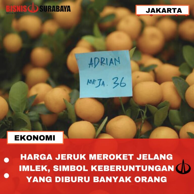 HARGA JERUK MEROKET JELANG IMLEK, SIMBOL KEBERUNTUNGAN YANG DIBURU BANYAK ORANG