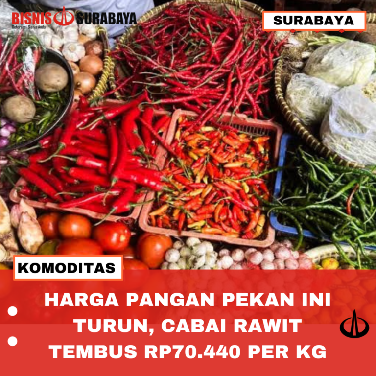 HARGA PANGAN PEKAN INI TURUN, CABAI RAWIT TEMBUS Rp70.440 PER KG