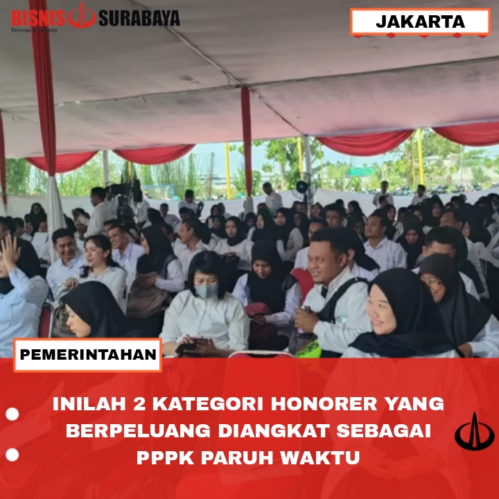 INILAH 2 KATEGORI HONORER YANG BERPELUANG DIANGKAT SEBAGAI PPPK PARUH WAKTU