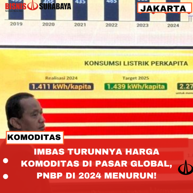 IMBAS TURUNNYA HARGA KOMODITAS DI PASAR GLOBAL, PNBP DI TAHUN 2024 MENURUN!