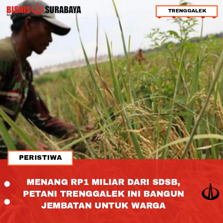 MENANG RP1 MILIAR DARI SDSB, PETANI TRENGGALEK INI BANGUN JEMBATAN UNTUK WARGA