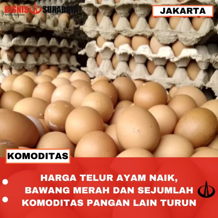 HARGA TELUR AYAM NAIK, BAWANG MERAH DAN SEJUMLAH KOMODITAS PANGAN LAIN TURUN