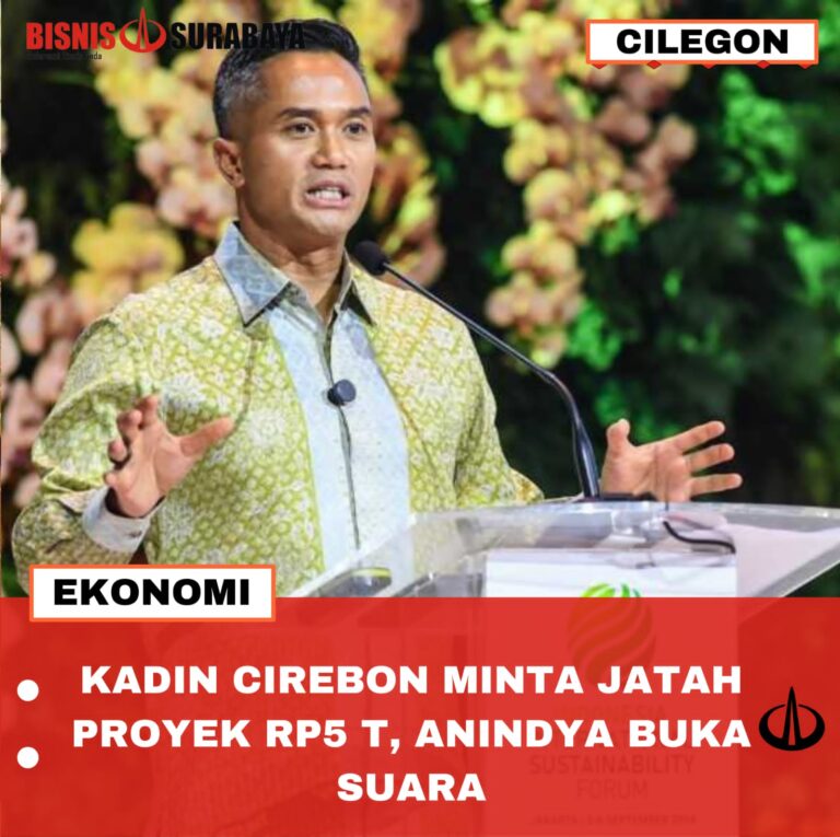 KADIN CIREBON MINTA JATAH PROYEK RP 5 T, ANINDYA BUKA SUARA