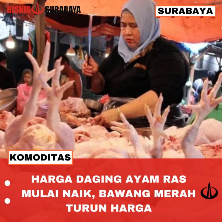 HARGA DAGING AYAM RAS MULAI NAIK, BAWANG MERAH TURUN HARGA