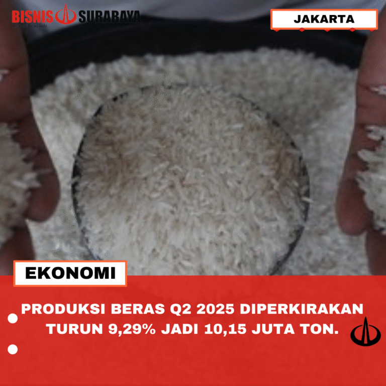 Produksi beras Q2 2025 diperkirakan turun 9,29% jadi 10,15 juta ton.