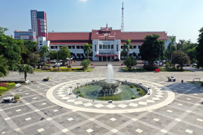 SURABAYA MULAI PEMUTAKHIRAN DTSEN, PETUGAS LAKUKAN PENDATAAN DOOR-TO DOOR MULAI 1 OKTOBER
