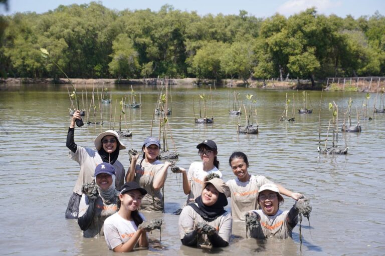 KOMITMEN JAGA KELESTARIAN LINGKUNGAN PESISIR SURABAYA, PEMKOT SURABAYA BERSAMA WVI LAKUKAN PENANAMAN 1.000 BIBIT MANGROVE