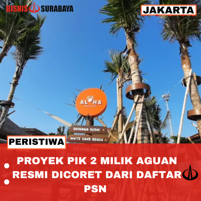 PROYEK PIK 2 MILIK AGUAN RESMI DICORET DARI DAFTAR PSN