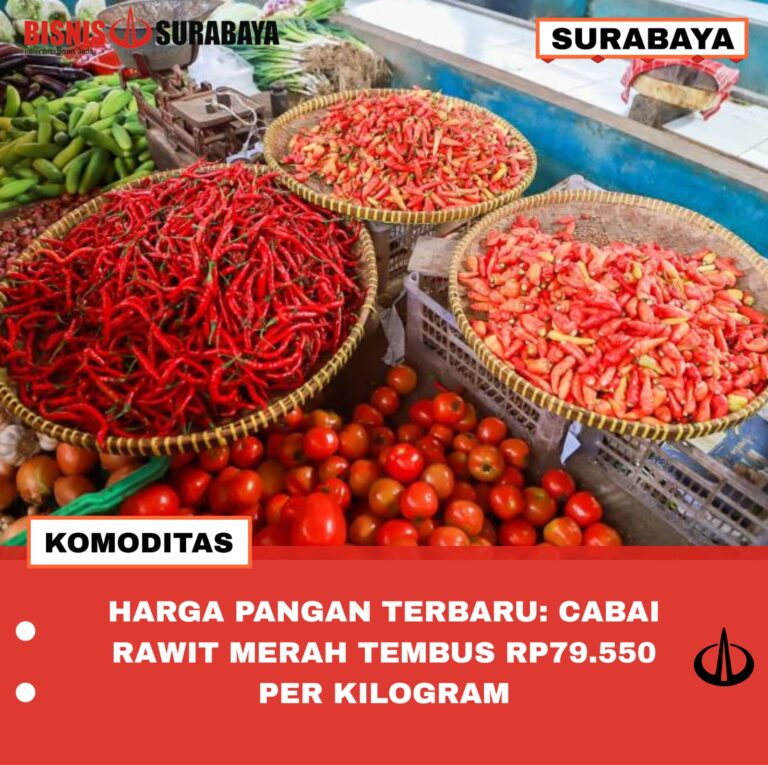 HARGA PANGAN TERBARU: CABAI RAWIT MERAH TEMBUS RP79.550 PER KILOGRAM