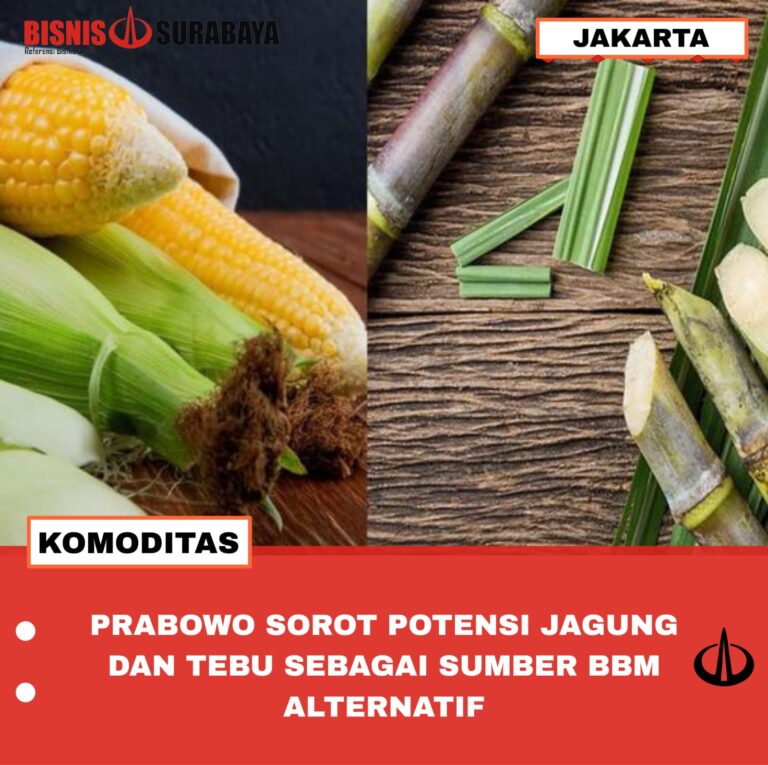 PRABOWO SOROT POTENSI JAGUNG DAN TEBU SEBAGAI SUMBER BBM ALTERNATIF