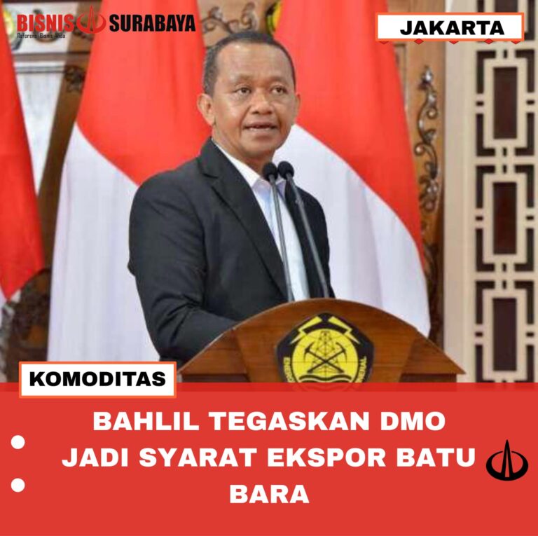 BAHLIL TEGASKAN DMO JADI SYARAT EKSPOR BATU BARA