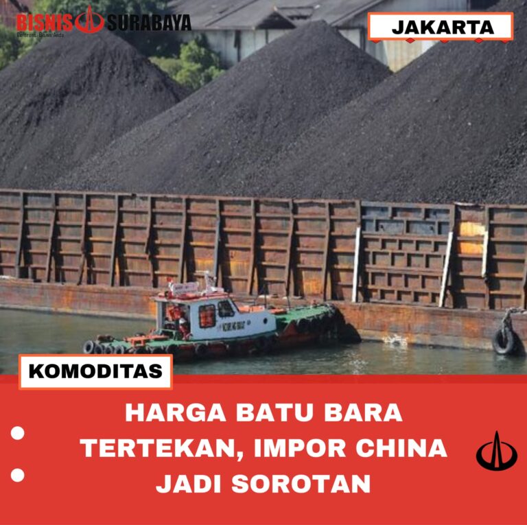 HARGA BATU BARA TERTEKAN, IMPOR CHINA JADI SOROTAN