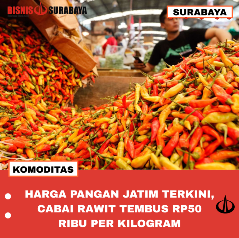 HARGA PANGAN JATIM TERKINI, CABAI RAWIT TEMBUS RP50 RIBU PER KILOGRAM