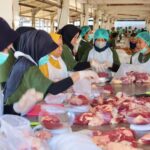 RPH Surabaya Pastikan Pemotongan Kurban Iduladha 2026 Higienis, Transparan, dan Sesuai Syariat