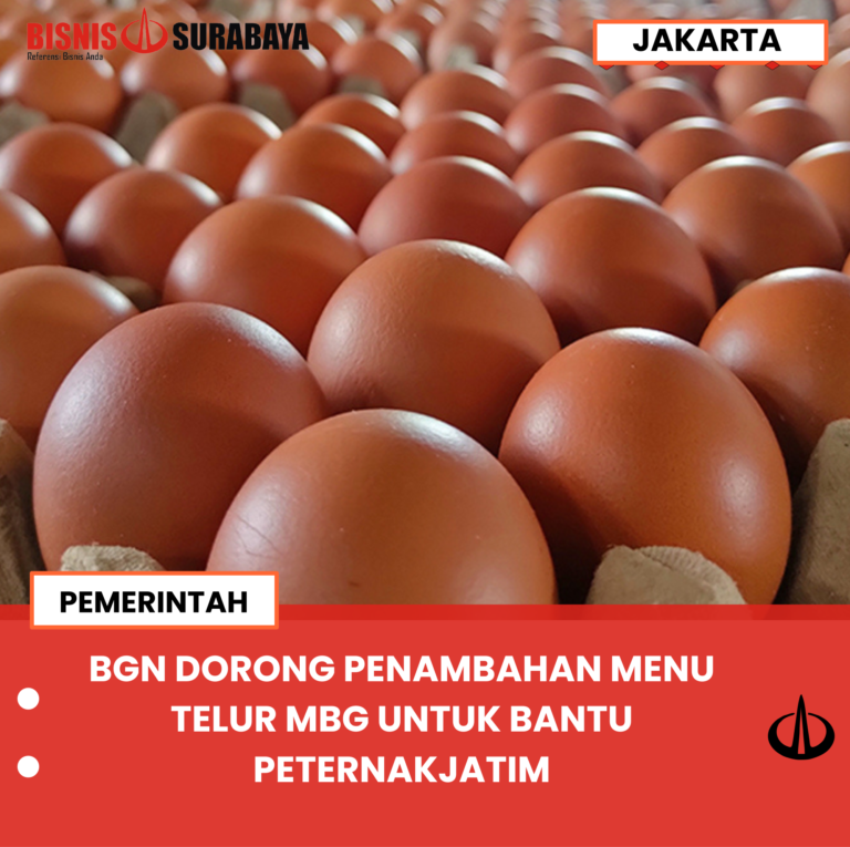 BGN DORONG PENAMBAHAN MENU TELUR MBG UNTUK BANTU PETERNAK JATIM