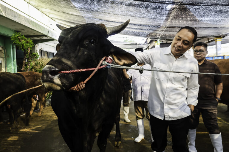 Wali Kota Eri Terbitkan SE Idul Adha 2026, Hewan Kurban Masuk Surabaya Wajib Vaksin PMK dan Kantongi SKKH 